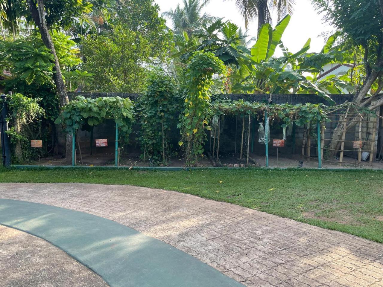 Shade Negombo