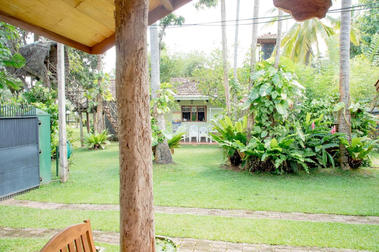 Shade * Negombo