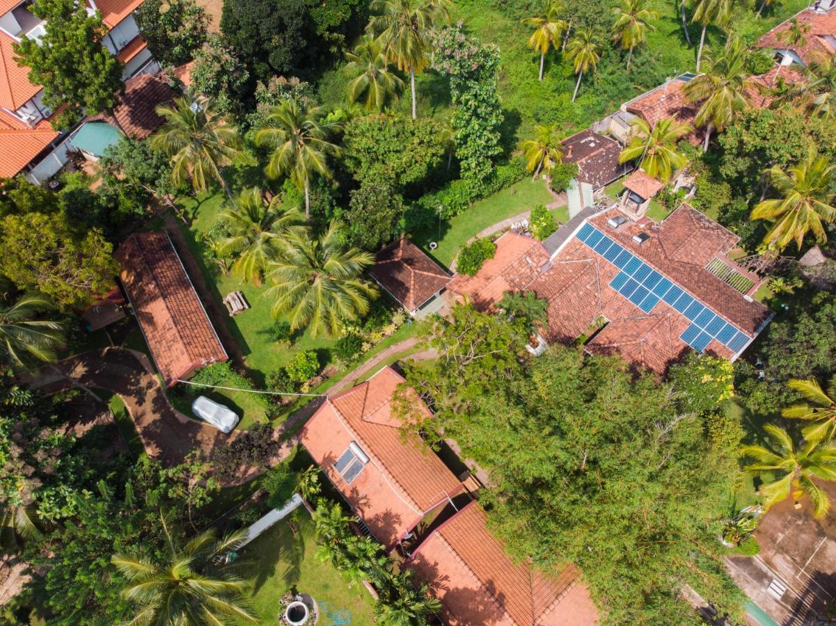 Shade * Negombo